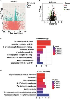 PKIB involved in the metastasis and survival of osteosarcoma